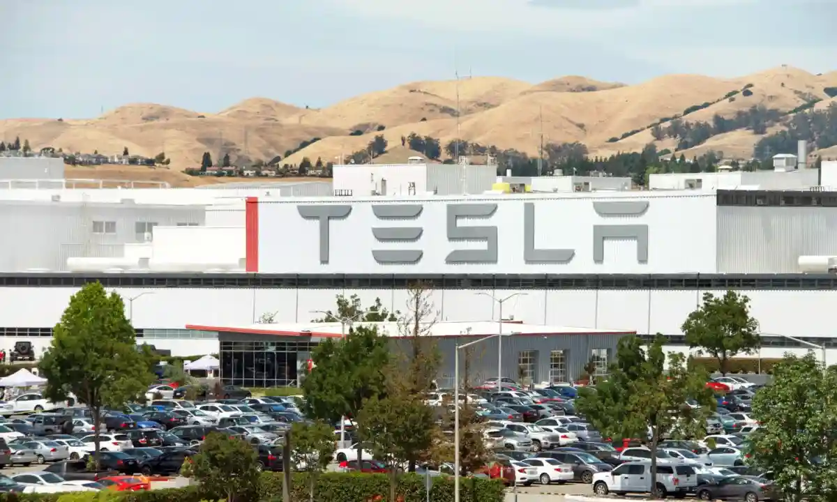Tesla возобновляет работу на своем заводе в КНР. Фото: Sheila Fitzgerald / shutterstock.com