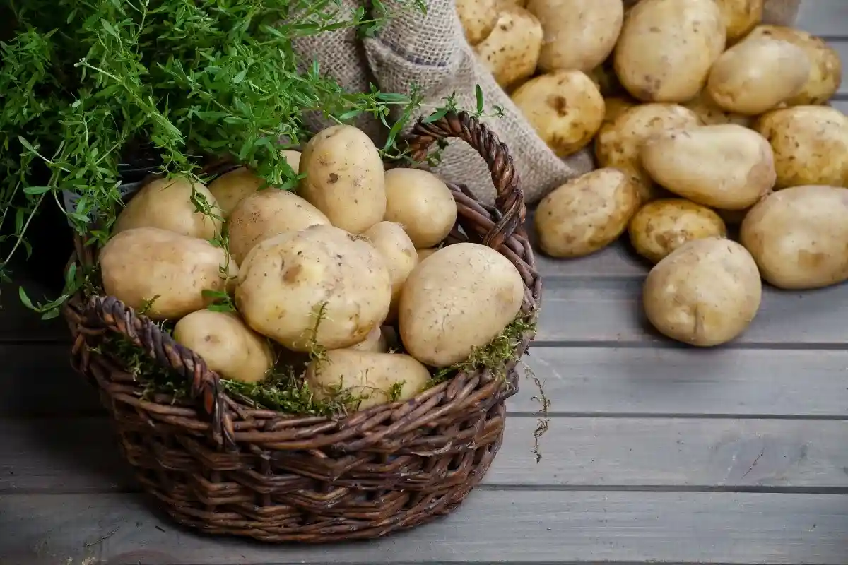 Цены на картофель в Германии выросли на 88%