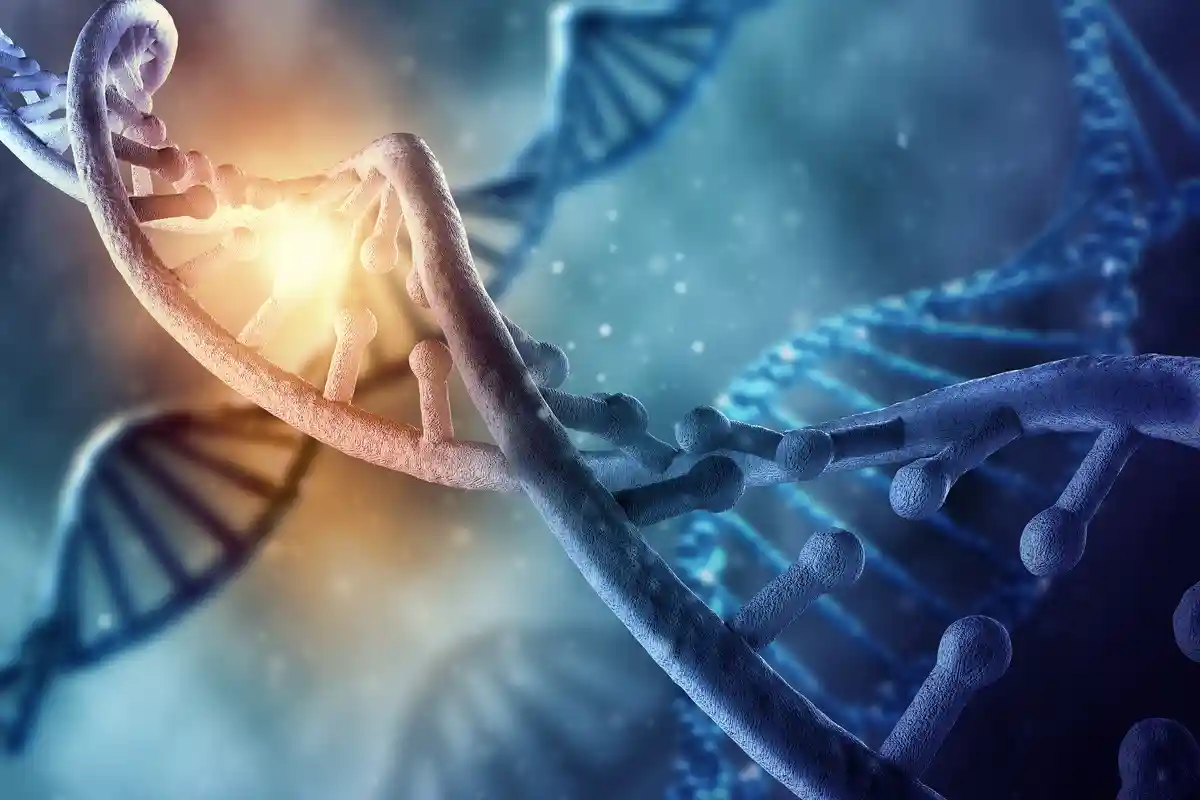 Ученые расшифровали геном человека полностью