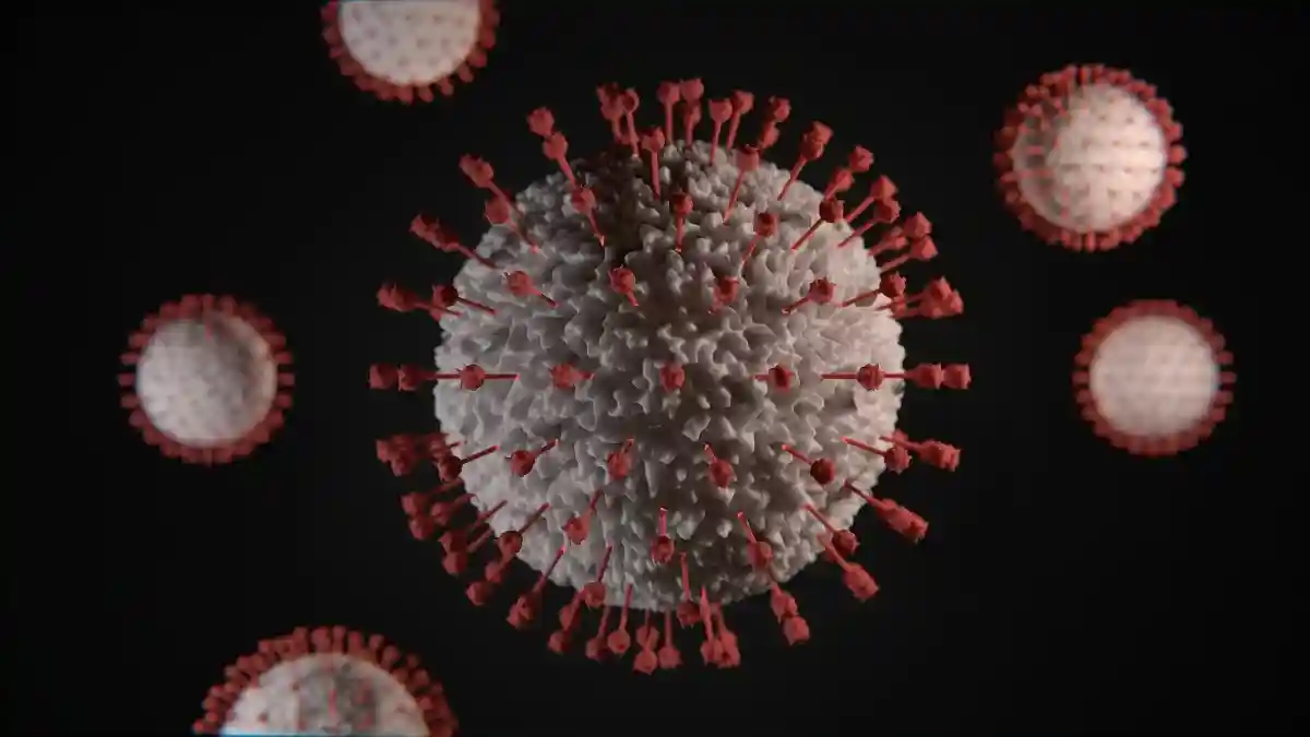 Новый штамм коронавируса Xf. Фото: Viktor Forgacs/Unsplash