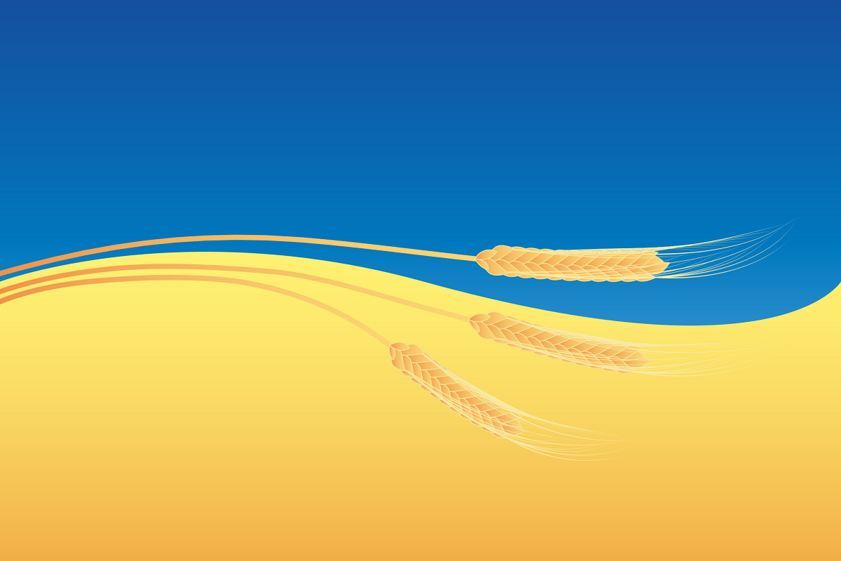 Украина - один из крупнейших поставщиков зерна. Фото: dandelion_tea / Pixabay.com