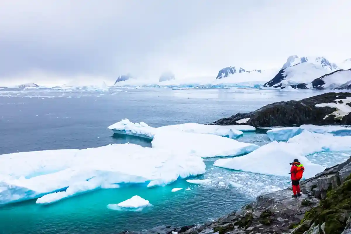 Площадь антарктического льда достигла рекордного минимума