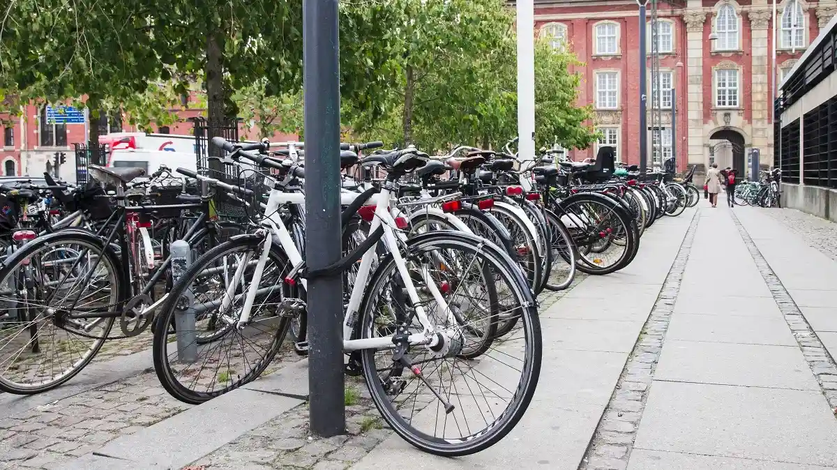 Езда на велосипеде в университет поможет не только здоровью, экологии и кошельку, но и позволит выиграть хорошие призы. Фото: Nikodash / shutterstock.com