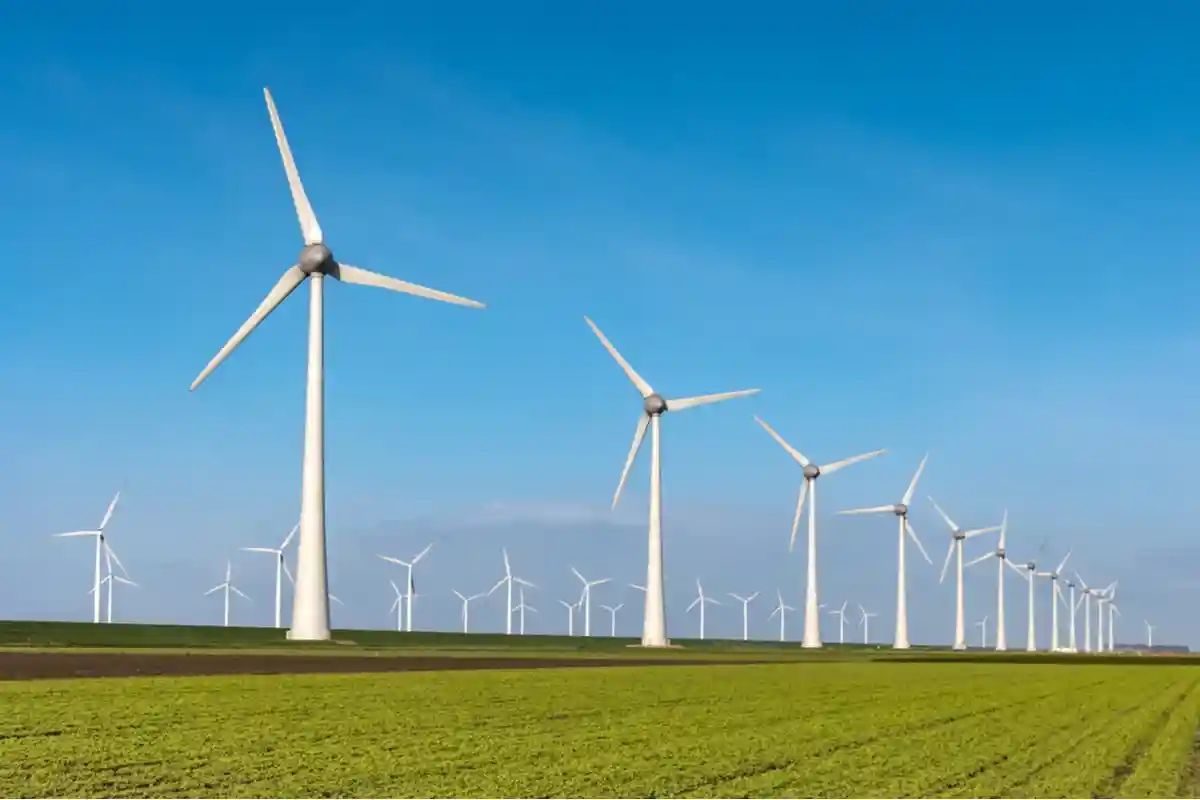 Земли Германии отстают в развитии ветроэнергетики. Фото: fokke baarssen / Shutterstock.com