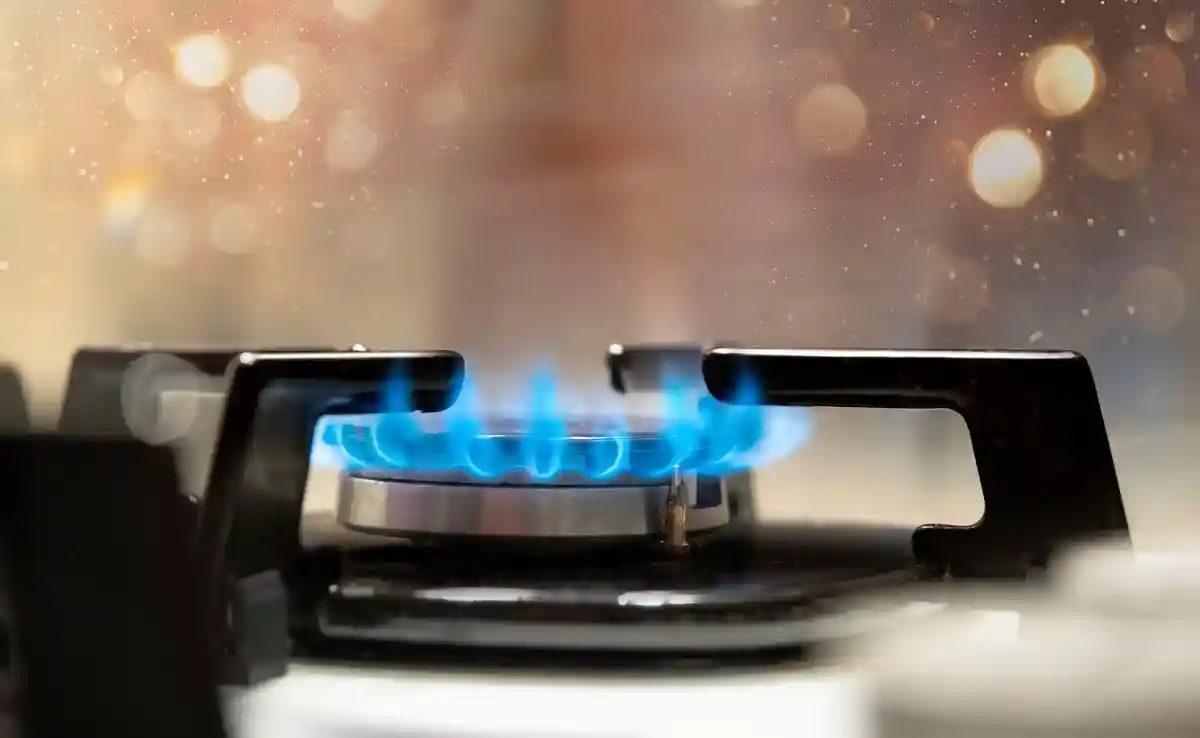 В Германии рассматривают возможность проведения аукциона на право пользоваться газом. Фото: Gokhan Y / Shutterstock.com