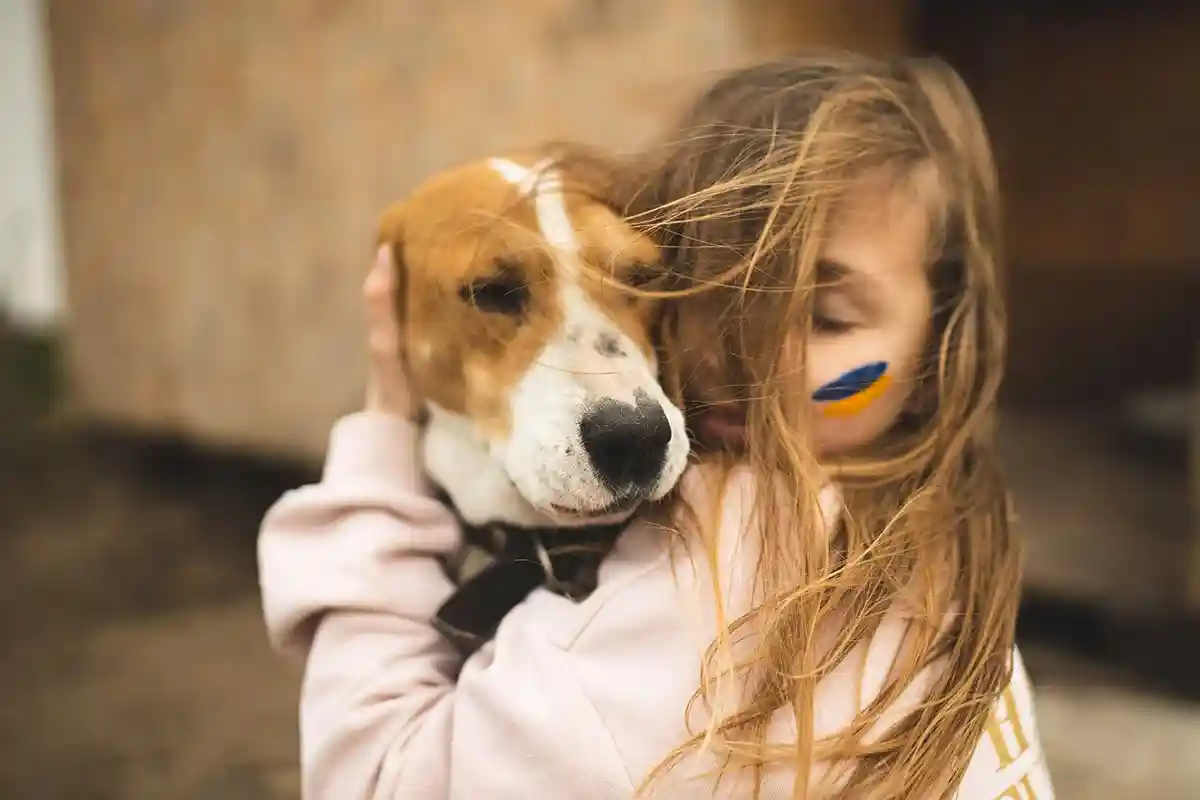 Девочка с любимой собакой на фоне войны. Фото: shutterstock.com