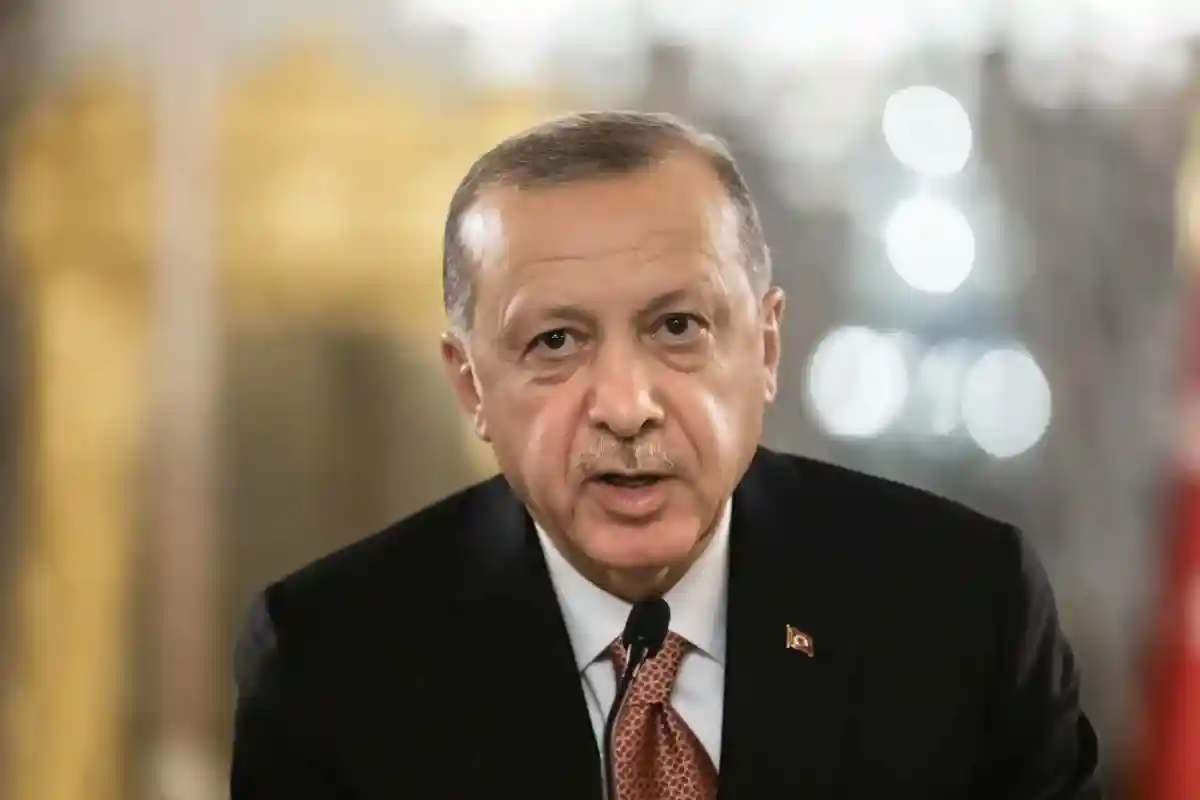 Эрдоган высказался о вступлении Швеции и Финляндии в НАТО по итогам переговоров. Фото: Drop of Light / Shutterstock.com