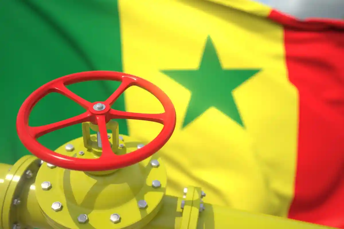 Сенегал готов поставлять газ в Европу. Фото:max.ku / Shutterstock.com
