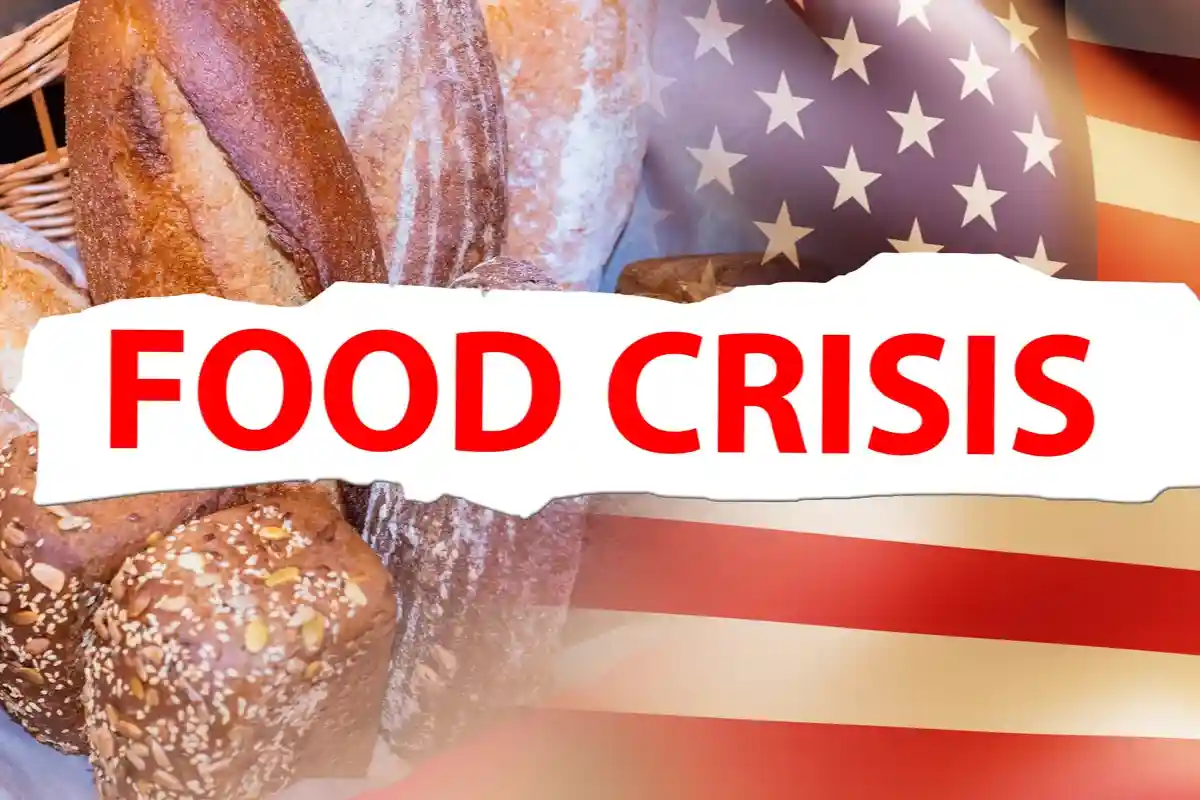 Глобальный голодный кризис. Фото: FOTOGRIN / Shutterstock.com