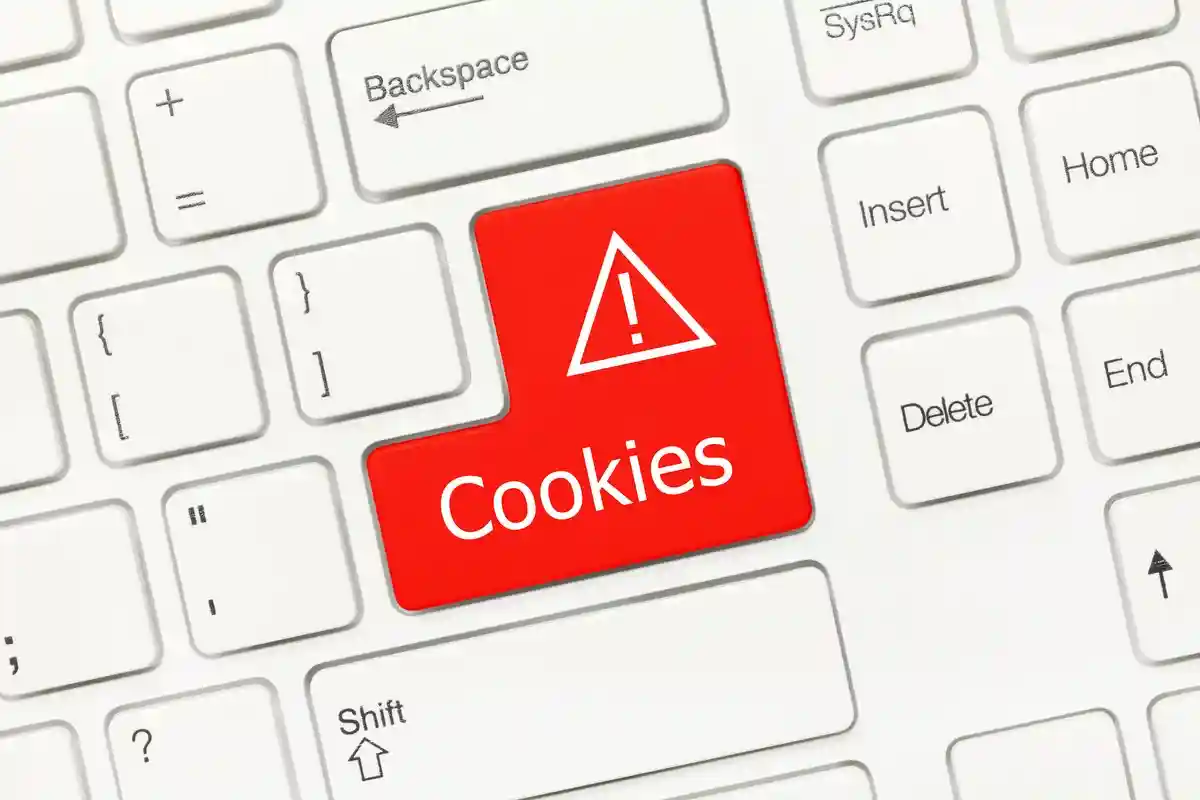 Манипуляции на веб-сайтах: cookie. Фото: Artem Samokhvalov / shutterstock.com