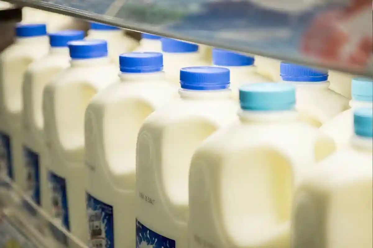 Единственное молоко, которое в настоящее время не так значительно подорожало, — это органическое молоко. Фото: Alphonse Mc Clouds / Shutterstock.com