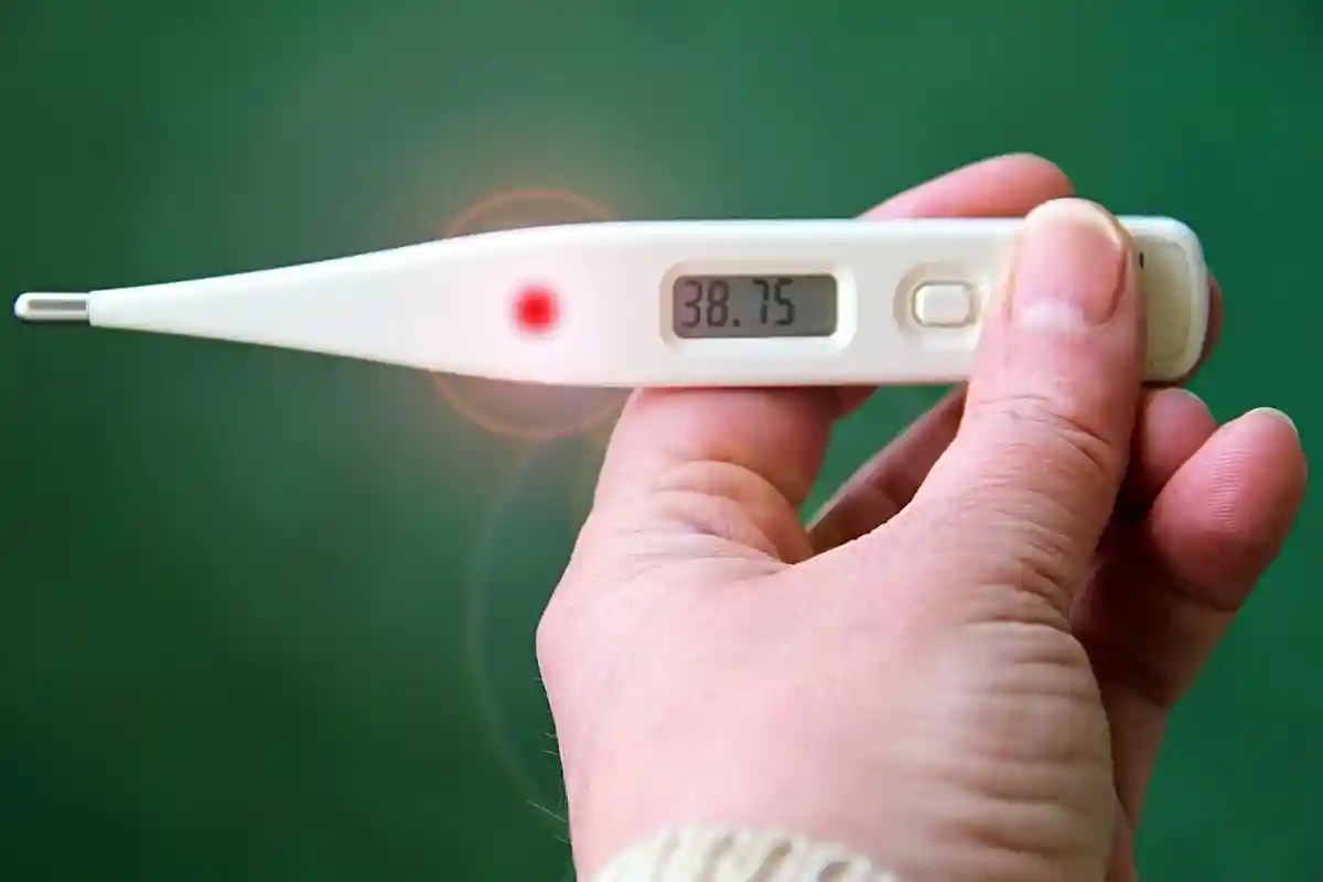 Повышенная температура - один из симптомов заболевания. Фото: guvo59 / pixabay.com