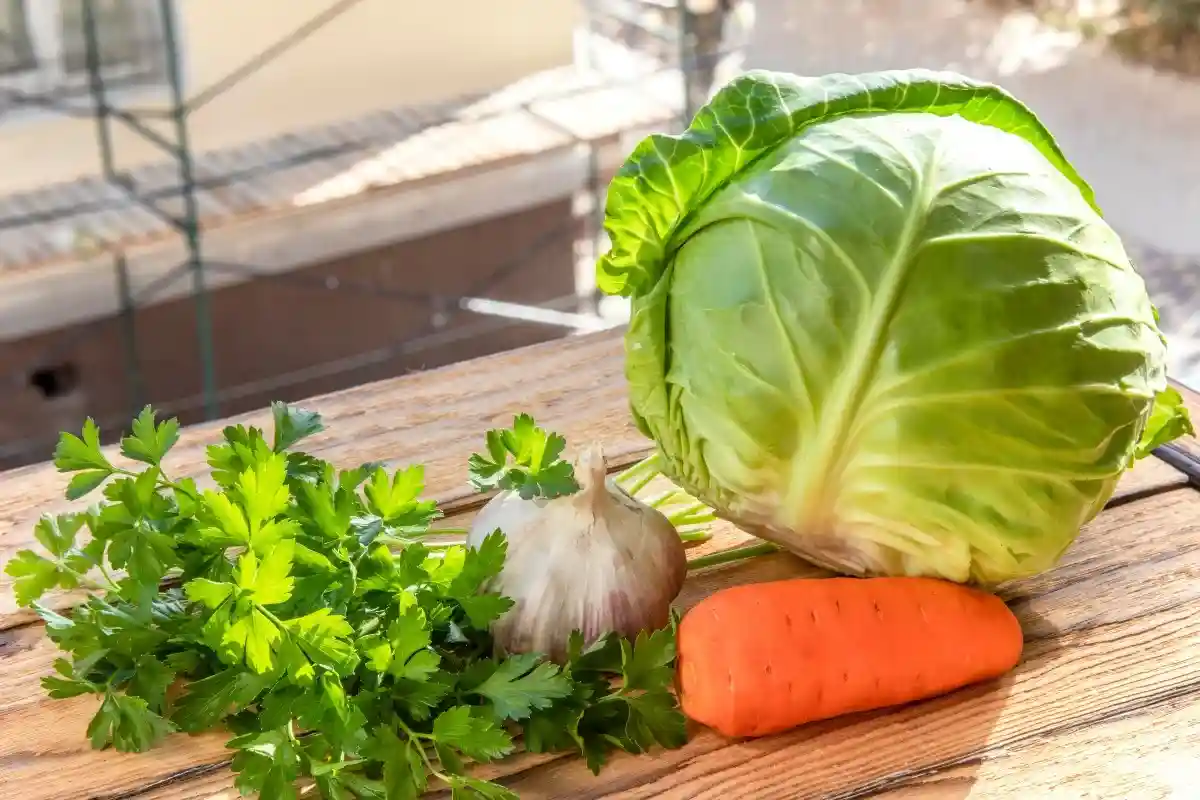 По сравнению с прошлым годом некоторые продукты также стали дешевле. Например, морковь и капуста. Фото: Lena S92 / Shutterstock.com