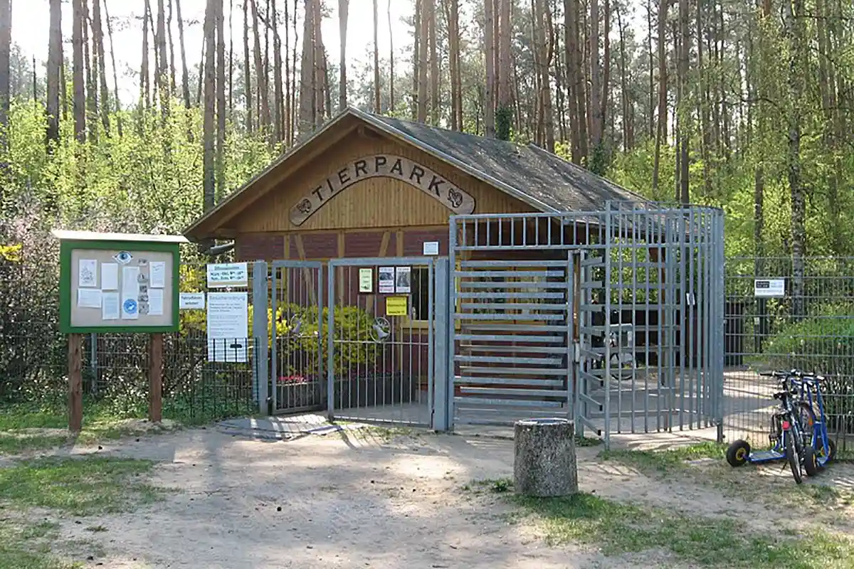 Зоопарк Перлеберга (1964 г.) в непосредственной близости от самого настоящего леса. Фото Wikimedia