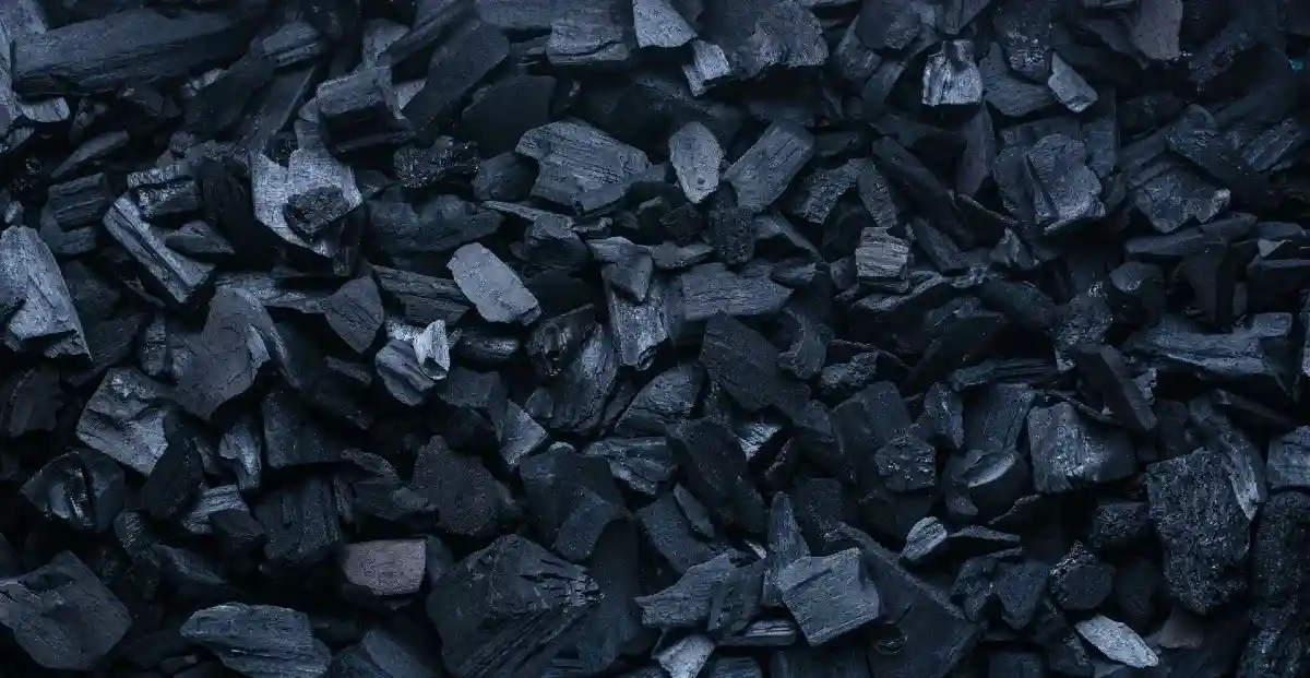 Почему не стоит пить активированный уголь при отравлении? Фото: Valentyn Volkov / shutterstock.com