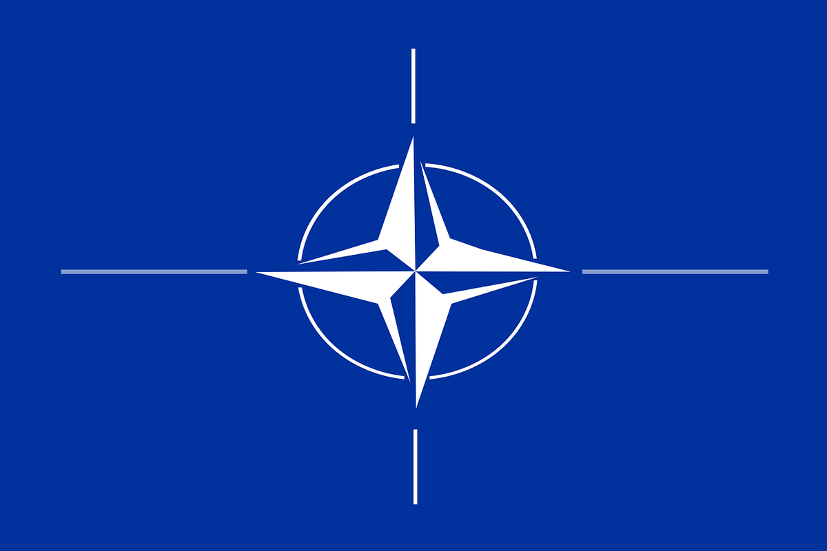 В ФРГ призывают Финляндию и Швецию ускорить процесс вступления в НАТО. РФ обещает ответные меры. Фото: Clker Free Vector Images / puixabay.com