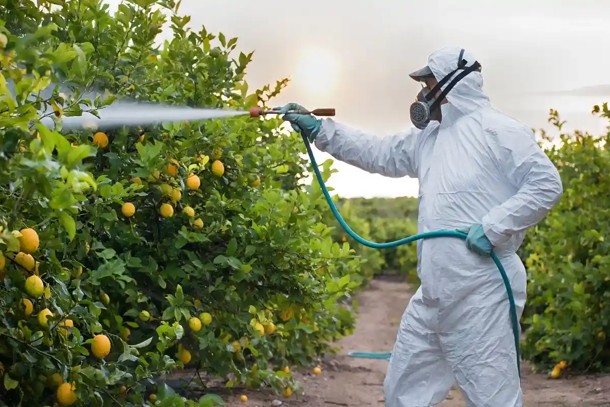 Обработка пестицидами. Фото: David Moreno Hernandez / Shutterstock.com