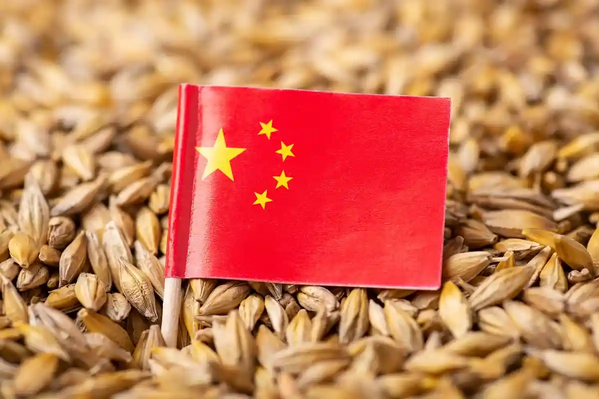 Кормит пятую часть мира: Китай не боится зернового кризиса