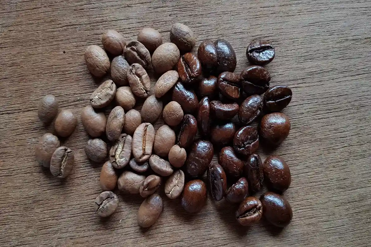 Кофе - арабика и робуста. Reynaldi Praditha / Shutterstock.com