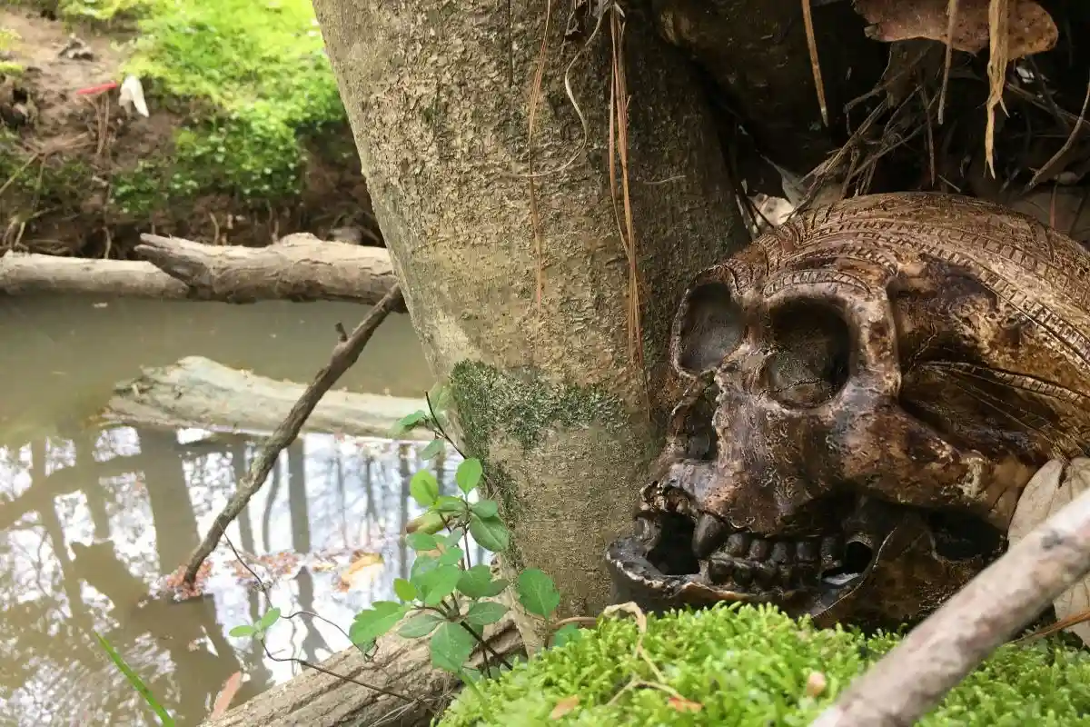 В Лаосе нашли ископаемый зуб самого загадочного гоминида