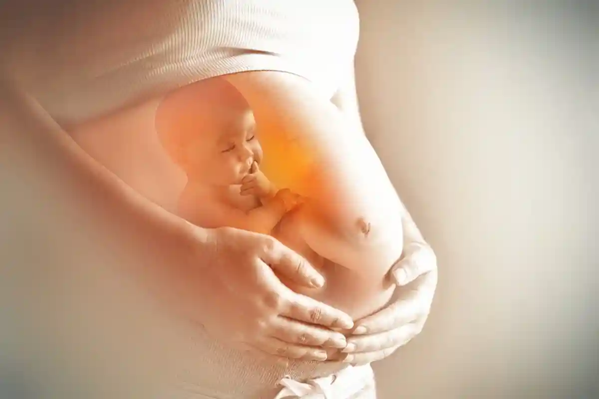 В Оклахоме запретили аборты всем, кроме жертв изнасилования. Фото: zffoto / Shutterstock.com