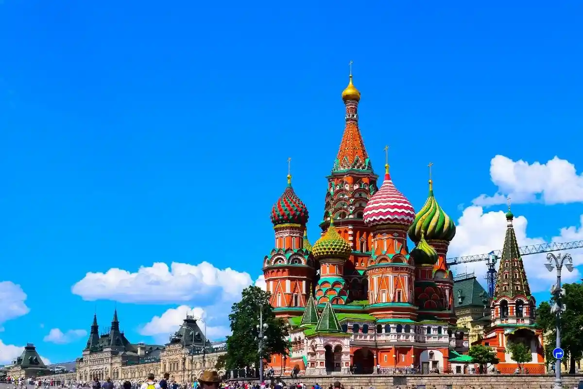 В Россию перестали ввозить санкционные товары. Фото: opsa / pixabay.com