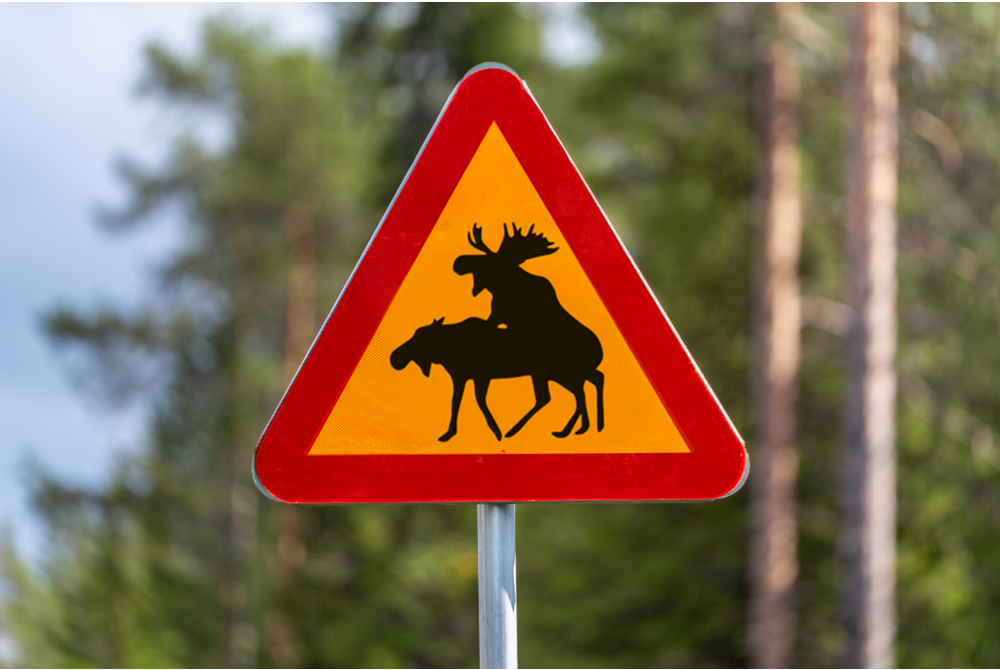 Необычный дорожный знак в Швеции. Фото: Shutterstock / montage