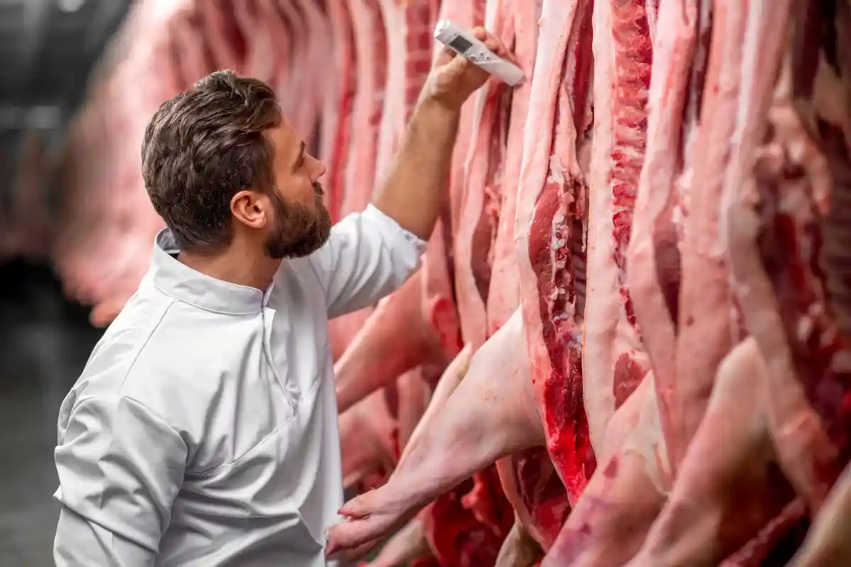 Найти хорошее мясо свинины легче, чем курицы Фото: RossHelen / Shutterstock.com