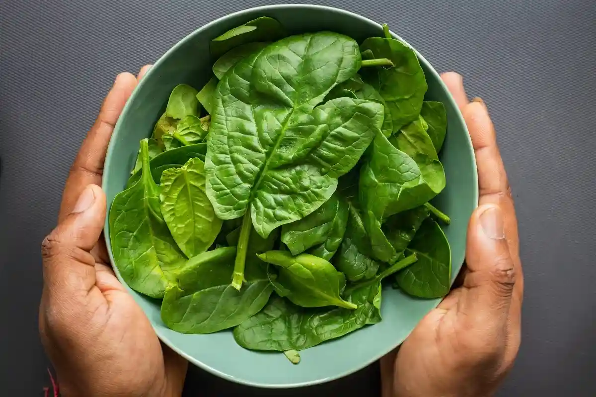 Листовая зелень: диетологи назвали 5 овощей, полезных для здоровья