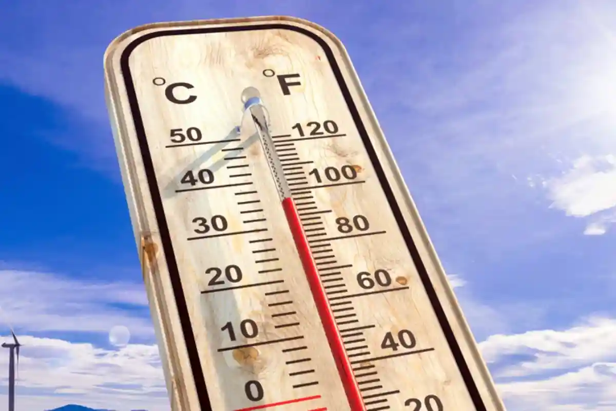 Аномальная жара: эту ошибку совершают очень многие. Фото: rawf8 / Shutterstock.com