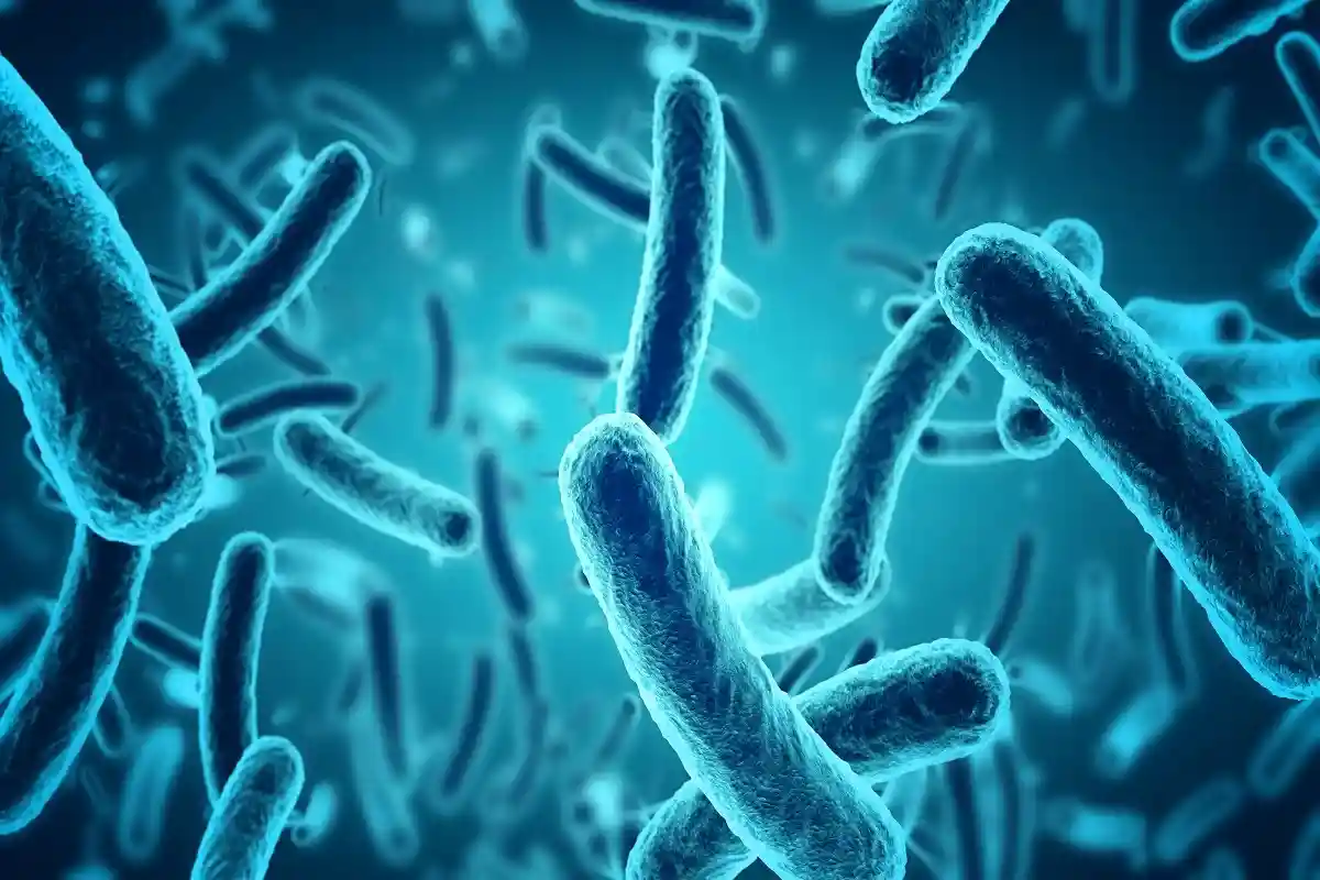 Биобатарея на бактериях: где пригодится уникальная разработка?