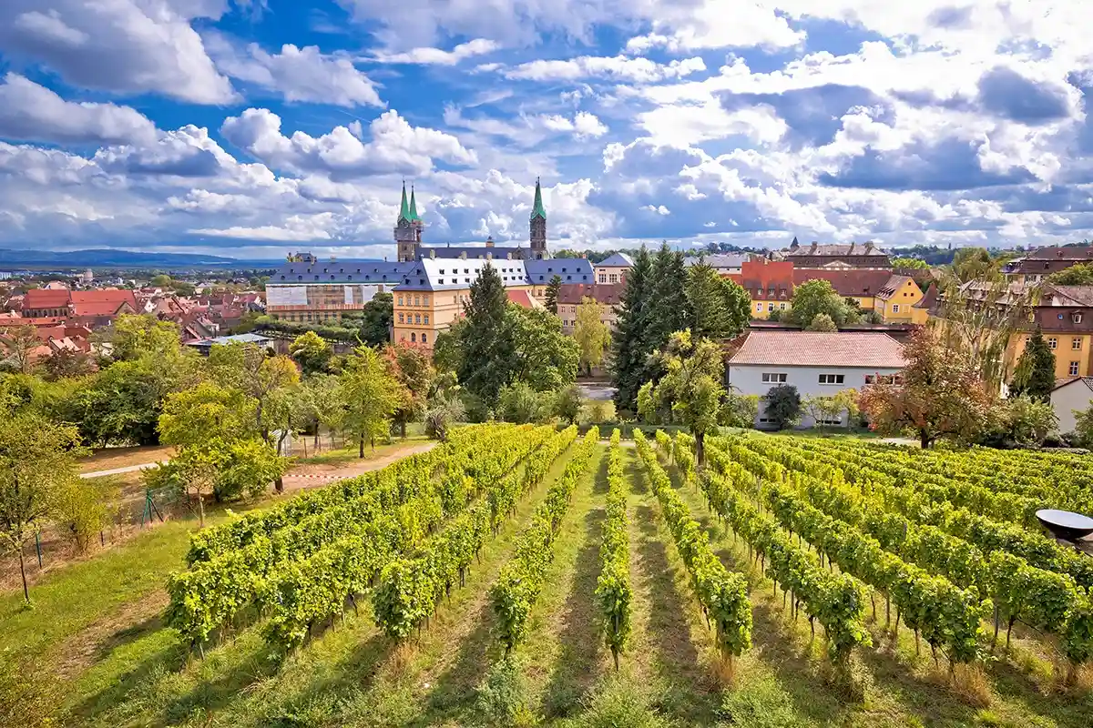 Вид на город со стороны виноградников. Фото xbrchx