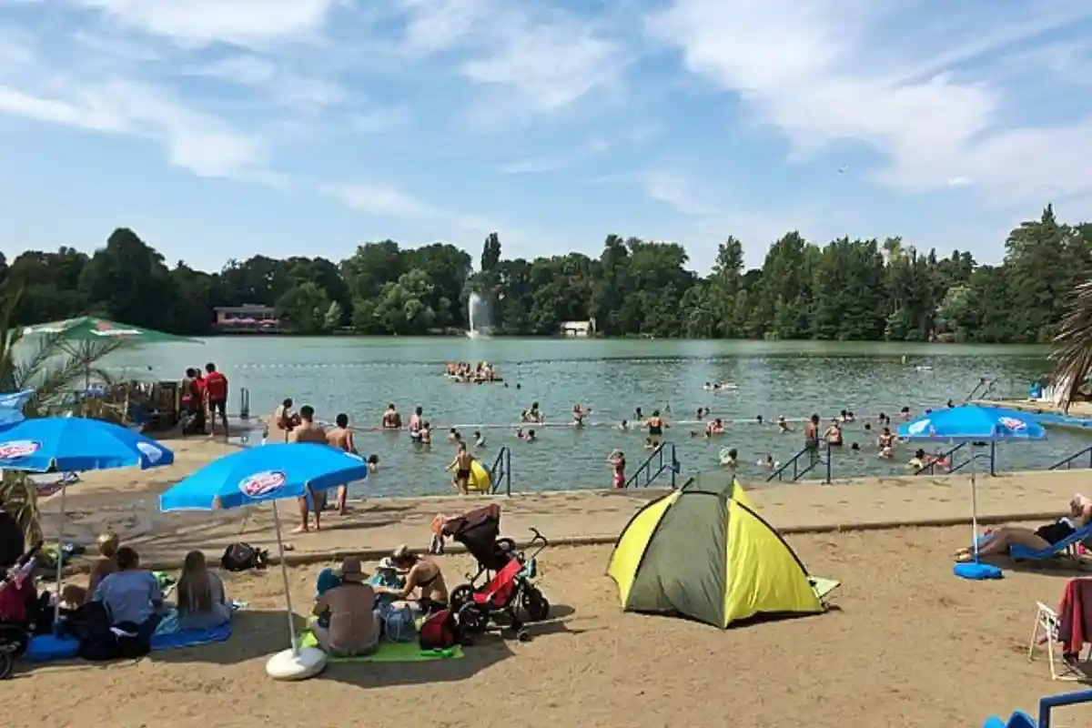 Берлинские озера кишат церкариями