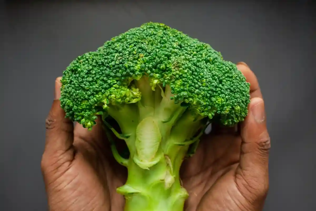 Диетологи: брокколи - лучший овощ для снижения сахара в крови