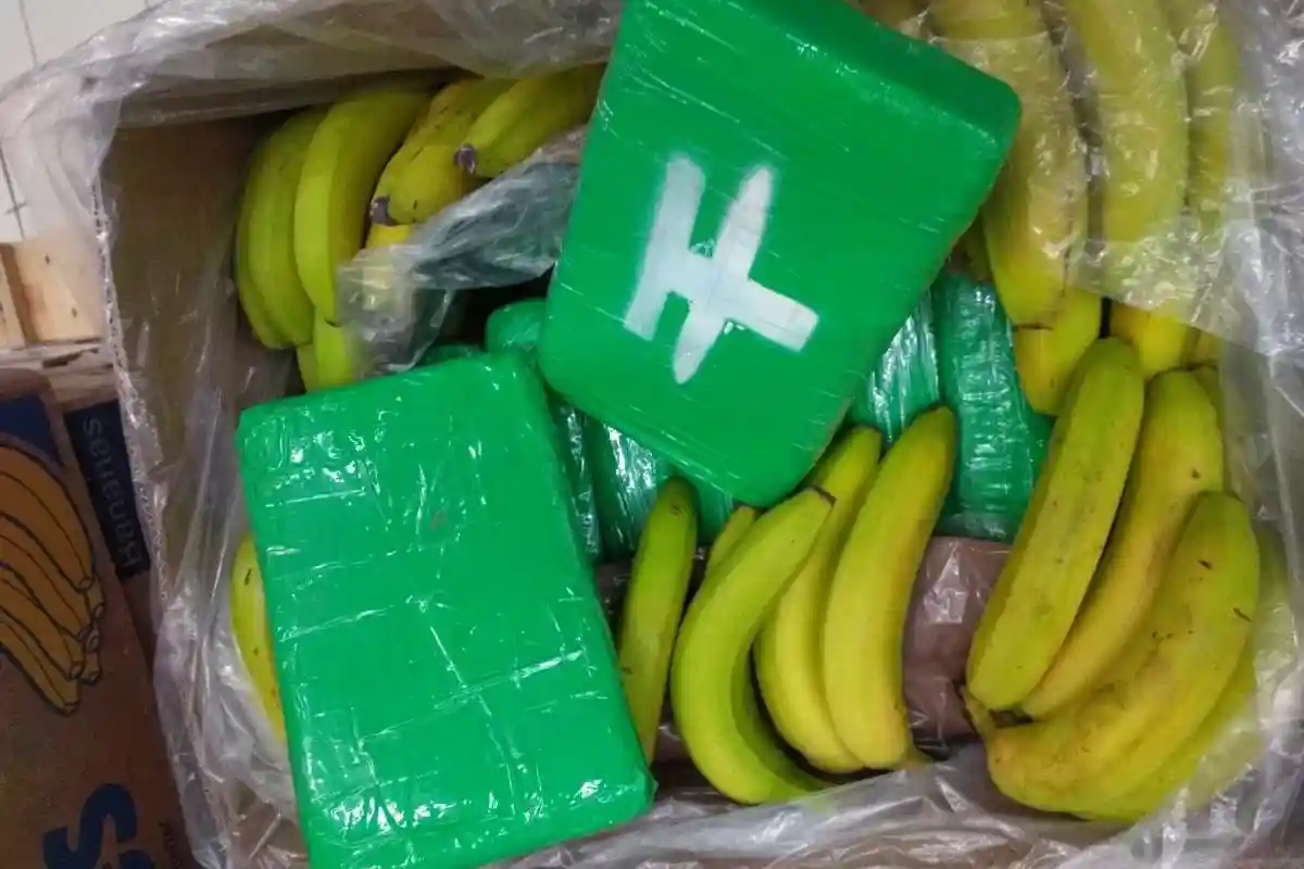В Чехии бананы с кокаином попали в супермаркеты. Фото: Twitter.com / Policie ČR
