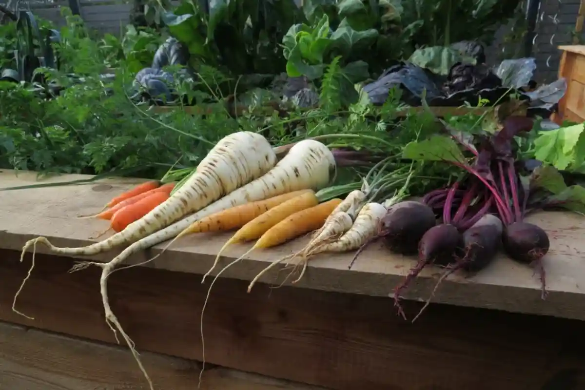 У вас есть дача в Германии? Овощи можете выращивать только для себя. Фото: Christine Kuchem / Shutterstock.com