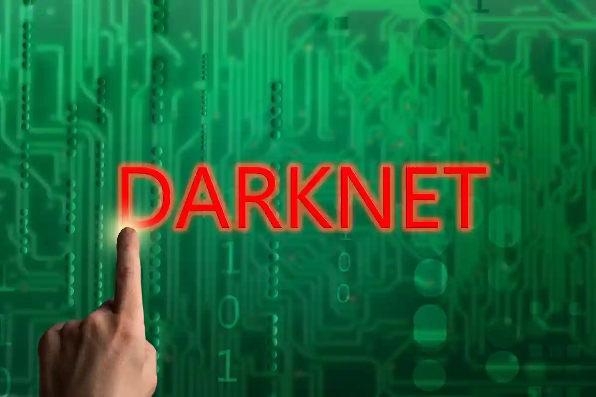 Шелковый путь darknet гирда как перевести тор браузер мега