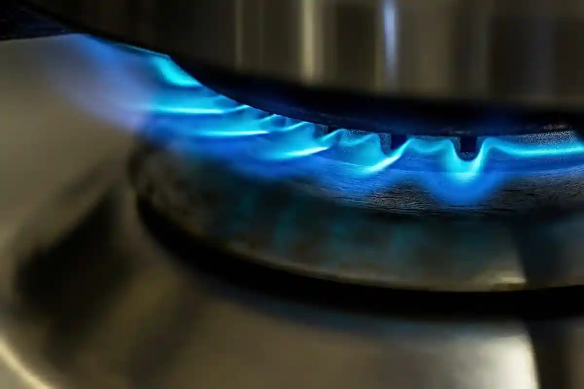 Экономия газа и заполнение газохранилищ: Хабек призывает к разумным ограничениям фото 1