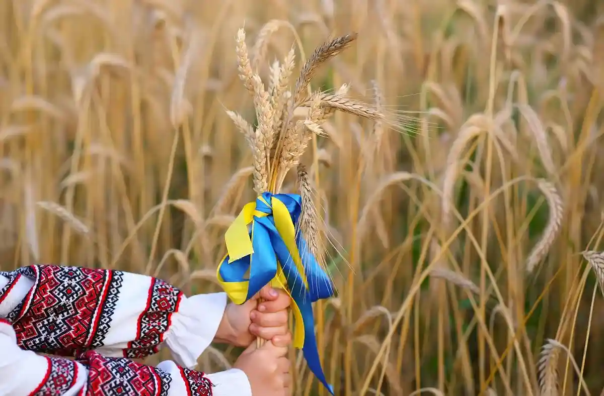 Экспорт зерна из Украины обсудили Шольц и Зеленский. Фото: Dobra Kobra / www.shutterstock.com