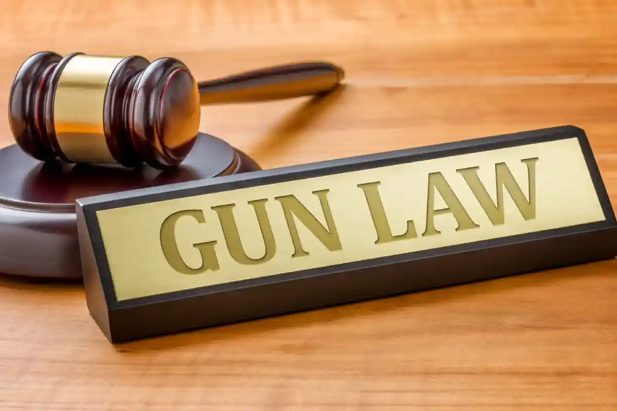 В штате Нью-Йорк внесли 10 законопроектов об оружии. Фото: Zerbor / Shutterstock.com