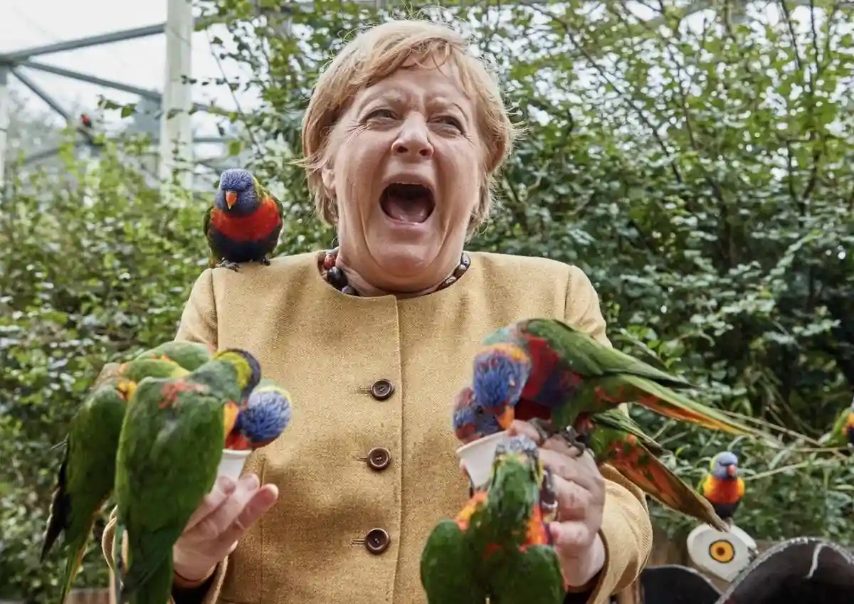 Попугаи в Германии. Как они покоряют немецкие города