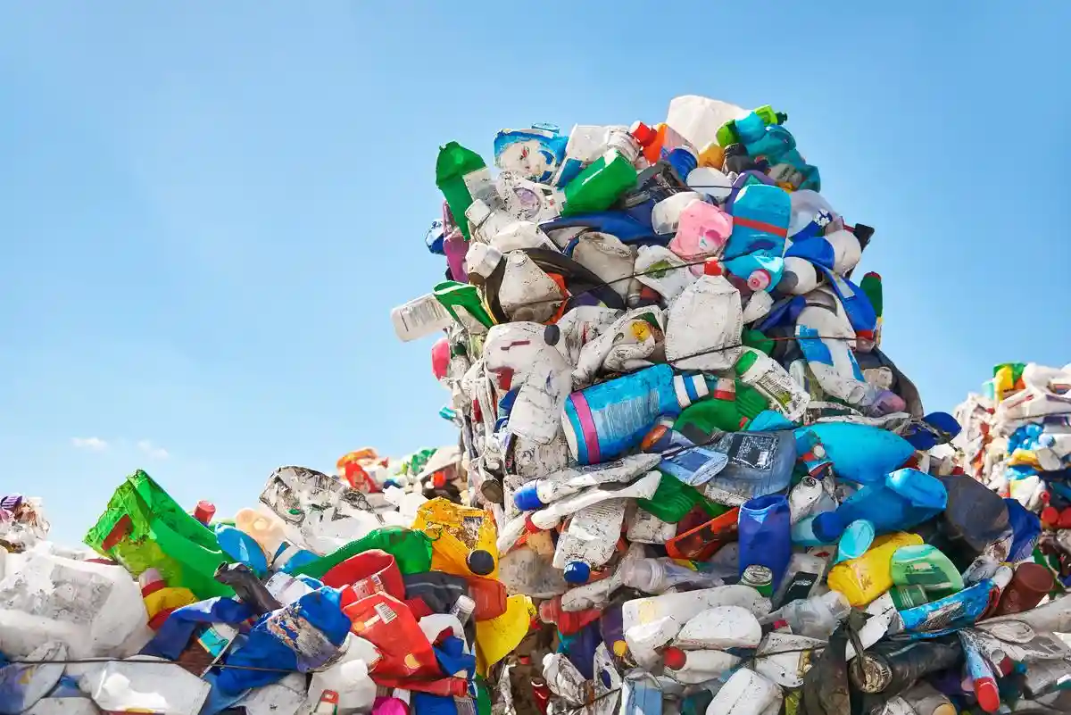 Как заработать на мусоре без риска потерять инвестированные средства. Фото: Roman Striga / shutterstock.com