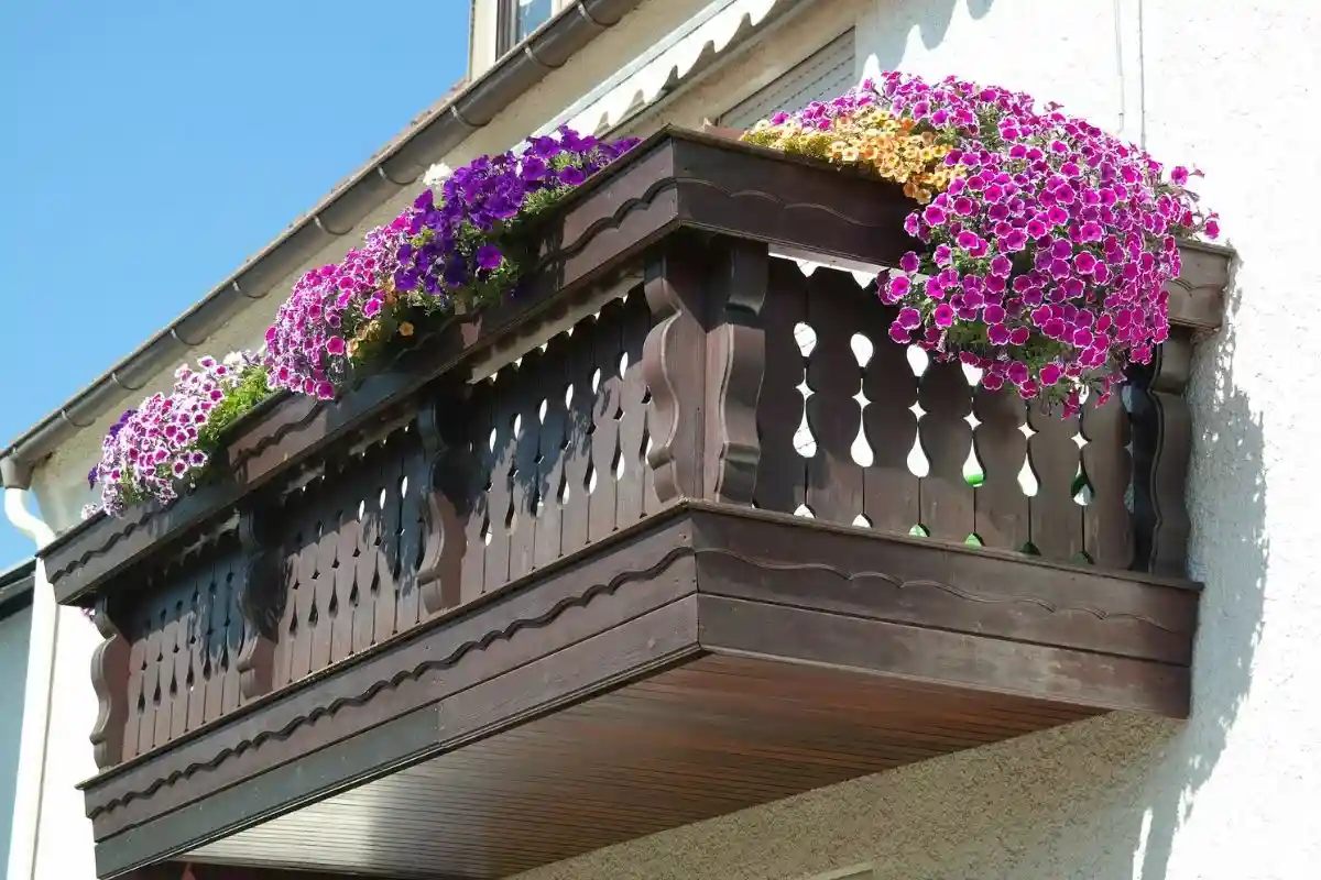 Балконные растения. Фото: Hans Braxmeier / pixabay.com