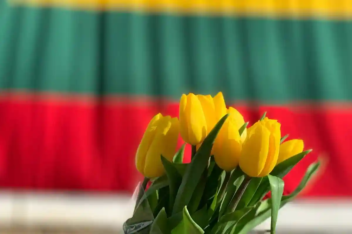 Литва заявила права на Смоленск