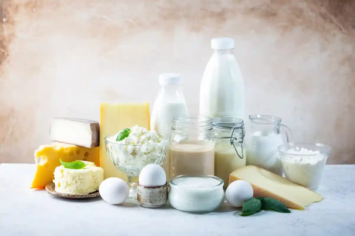  Йогурты, молоко и сыры могут подорожать на 20% / Goskova Tatiana / shutterstock.com
