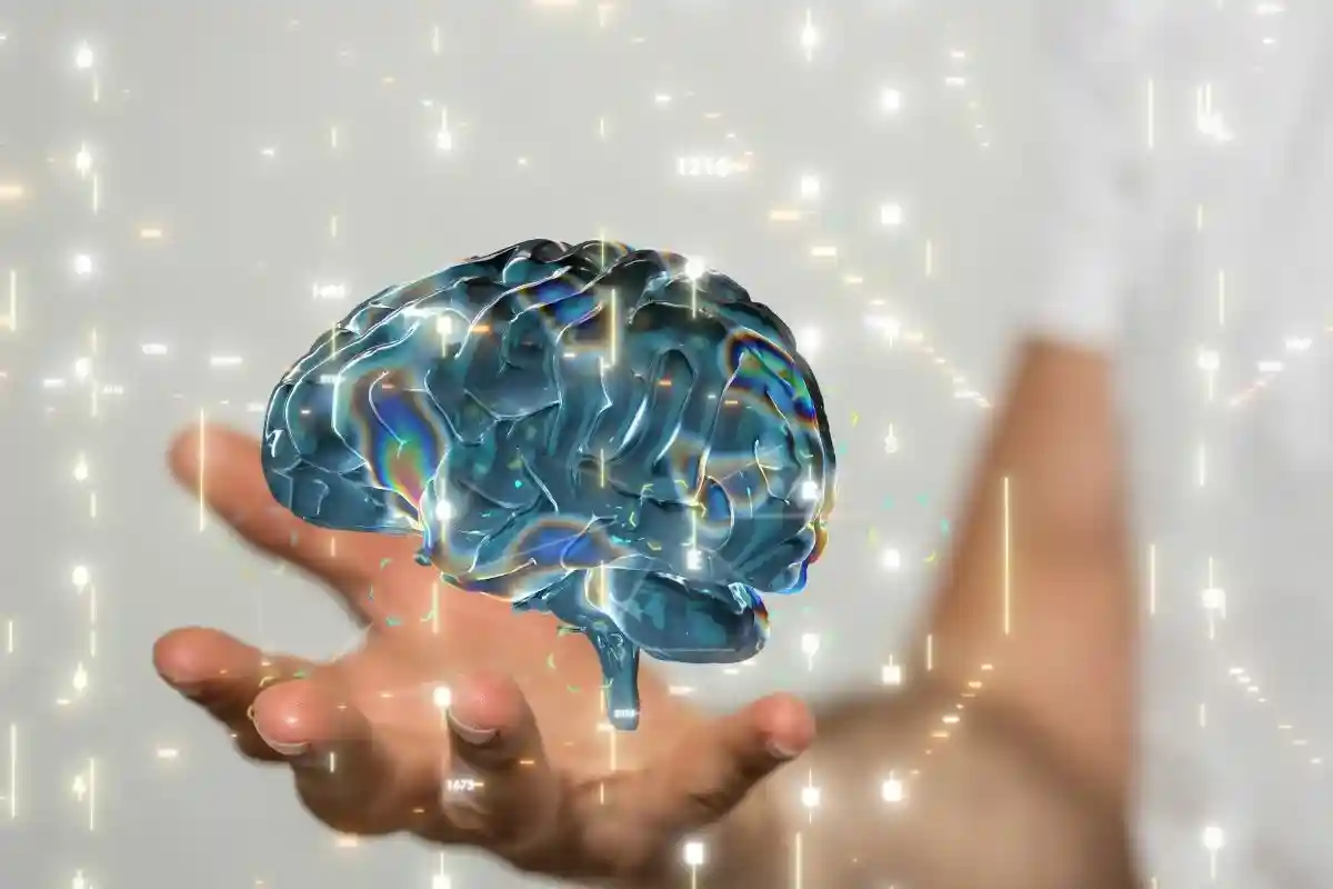 Мозг применяет «сжатие данных» при принятии решений