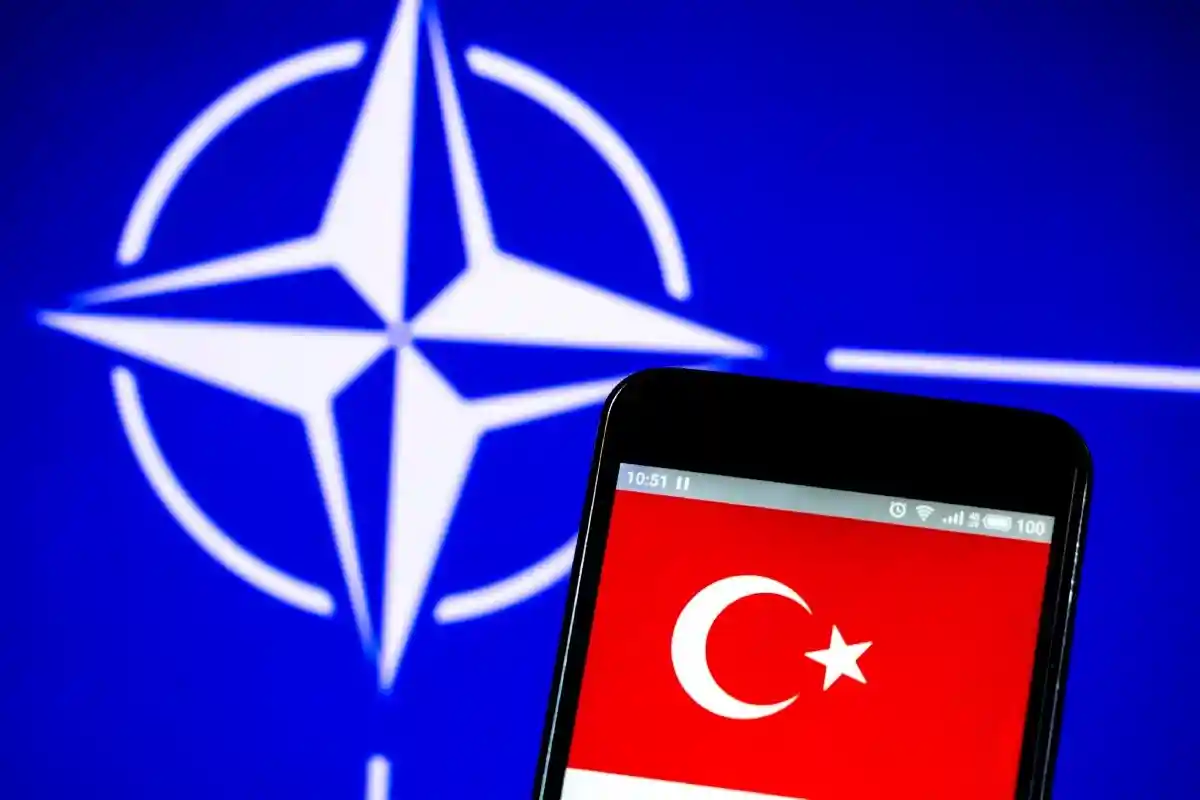Швеция и Финляндия достигли прогресса в переговорах с Турцией по НАТО. Фото: IgorGolovniov / Shutterstock.com 