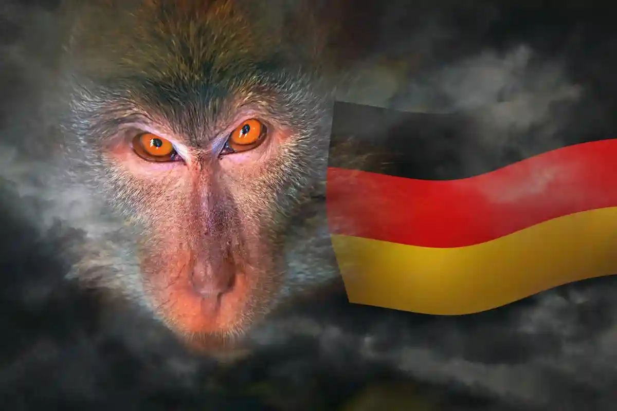 Оспа обезьян в Германии