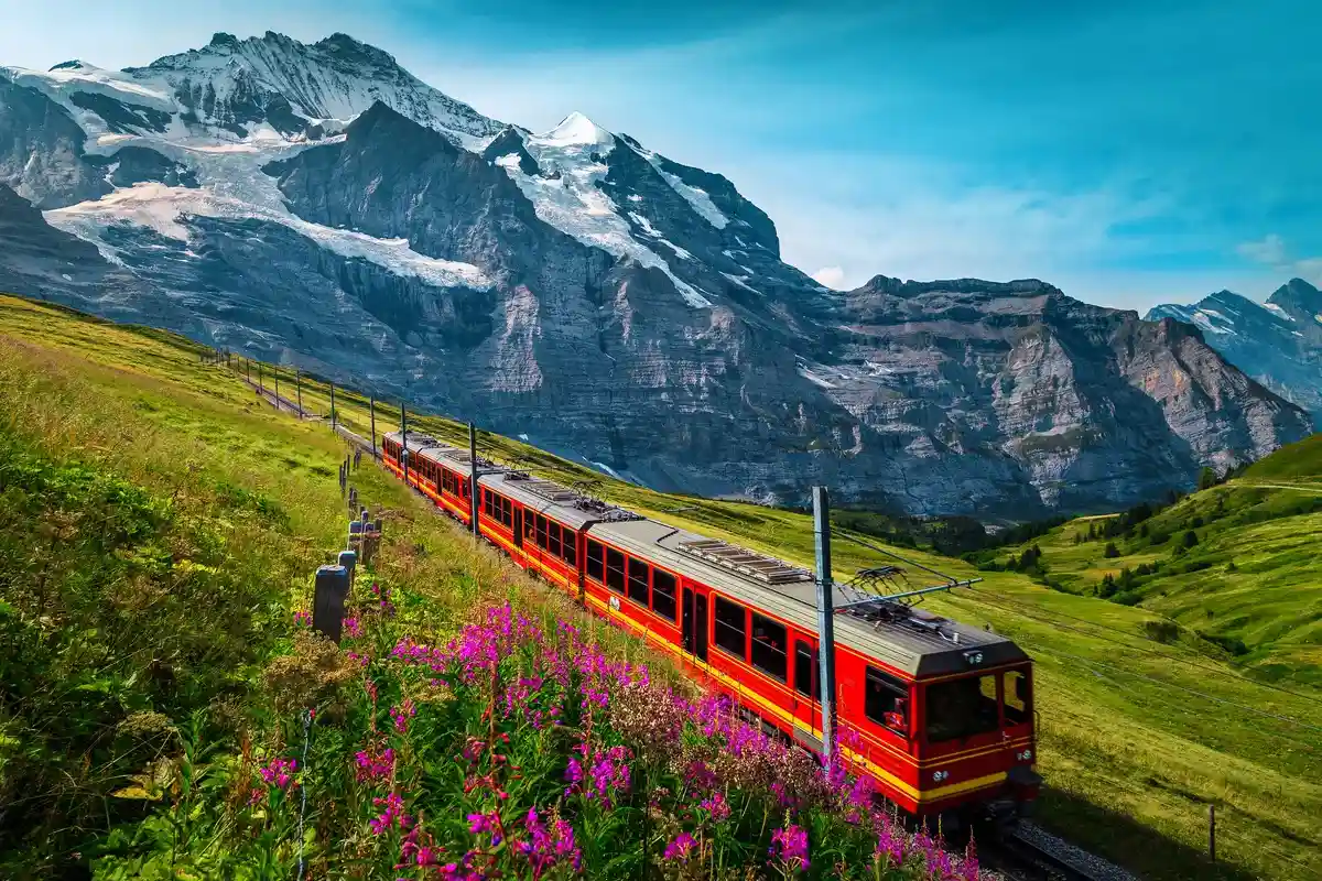 Отпуск в Швейцарии: панорамный поезд. Фото: Gaspar Janos / shutterstock.com 