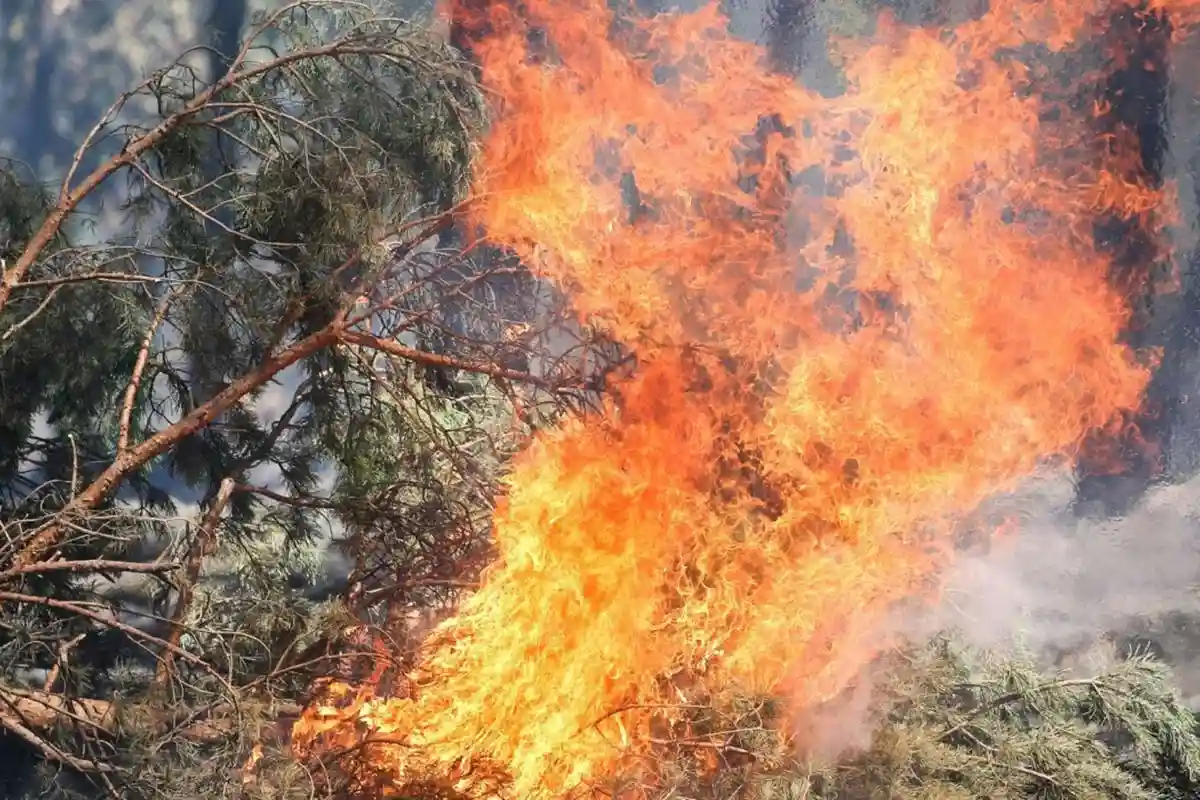 Пожар в Брокене: горят 6.5 гектаров леса. Фото: radiobrocken.de